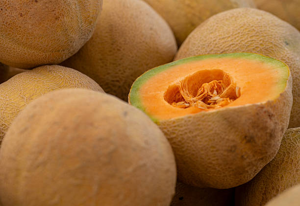 istock Fresh canteloupe at farmer market 2231830903