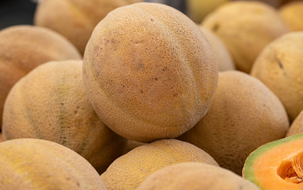 istock Fresh canteloupe at farmer market 2231831198