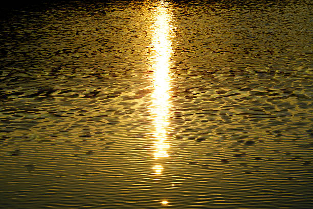 These images depict the water surface at sunset.