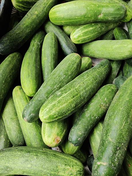 istock THE CUCUMBER FRUITS 2231840018