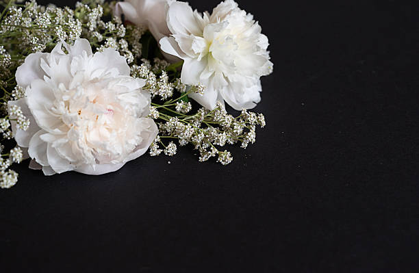 istock Delicate white flowers and buds arranged beautifully on a dark surface 2231840920