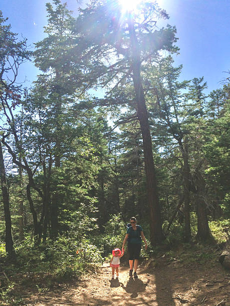 istock Mother and hikes with young daughter in forest 2231848195