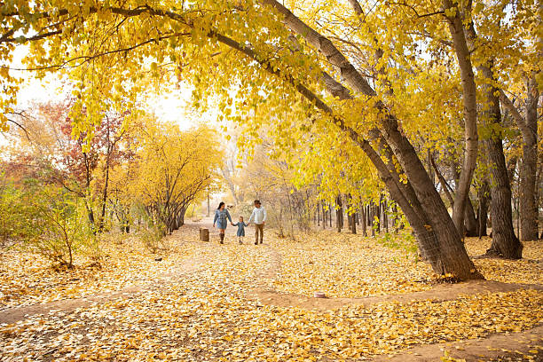 Family walks in forest in autumn