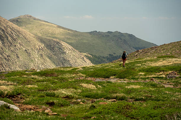 Blonde Woman Sitting Alone in a Field of Wild Flowers, in a Valley in the Rugged Mountains, Blue Sky, Copy Space, Daytime