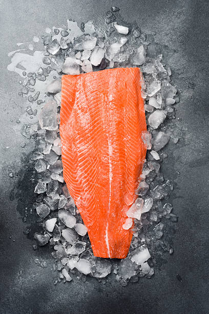 istock Fresh salmon fillet on ice. 2231854027