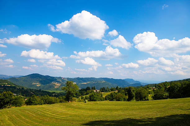 A tranquil summer scene of rolling hills and vibrant green pastures perfect for relaxing and enjoying the view.