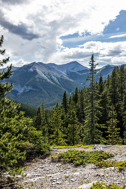 istock Scenic Mountain Landscape With Evergreen Forest Under a Partially Cloudy Sky 2231859085