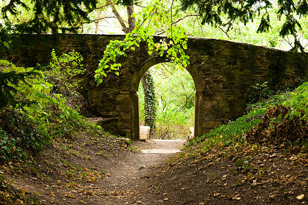 istock Hidden archway leading into a serene forest path under dappled sunlight in early autumn 2231859124