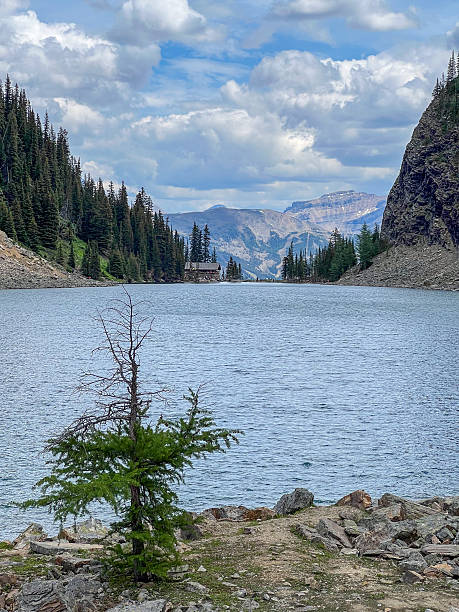 istock Lake Agnes, Banff NP 2231863091