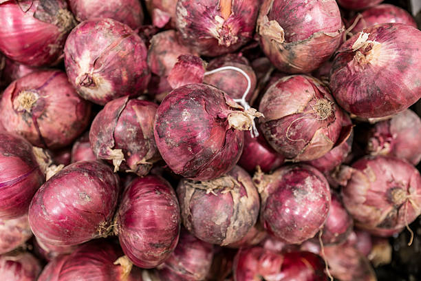 Pile of Fresh Red Onions