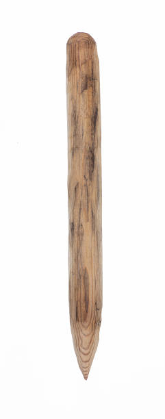 istock aspen wooden stake isolated on white background 2231872679