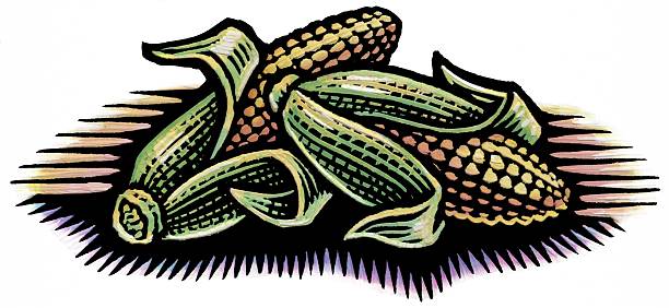 spot illustration of two ears of corn in their husks