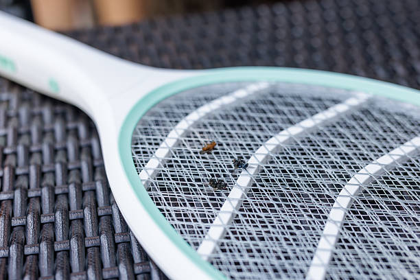istock Electric mosquito zapper racket with dead flies on mesh home pest control close up 2231882653