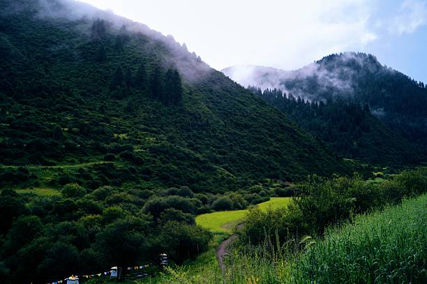 Niba Village, a Tibetan village located in Zhuoni County, Gannan Tibetan Autonomous Prefecture, Gansu Province, is renowned for its unique natural scenery and profound Tibetan culture. Hidden amidst towering mountains, the village is known as \