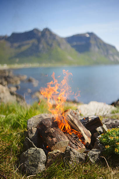 istock Campfire on shoreline and mountains 2231886478