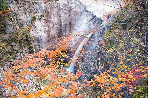 Cheonbuldong Valley Seoraksan Mountain, Korea. 설악산 대청봉 천불동계곡