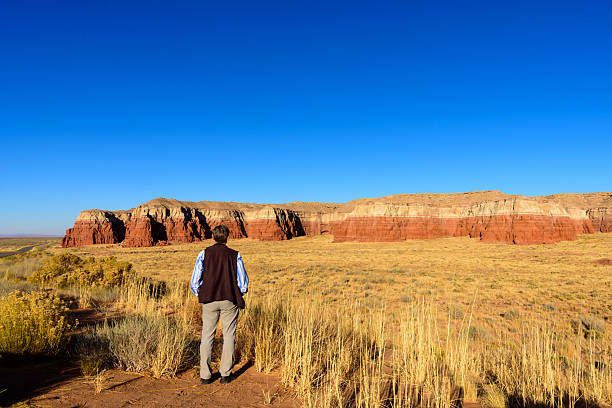 A lone traveler stands still in an open landscape