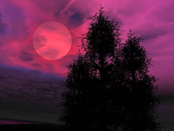 This is a picture I imagined.\nI do not use photos or illustrations for reference.\nImage rendered by 3D software.\nI'm not using \