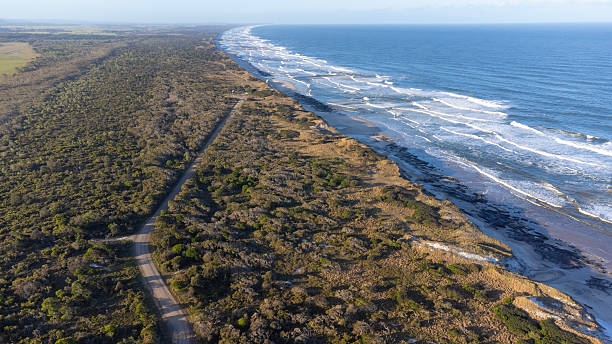 istock Road through a wilderness beach area 2231902769