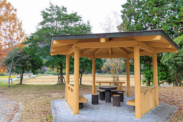 istock A covered rest area gazebo seen in the park (Metasequoia autumn leaves) 2231905789