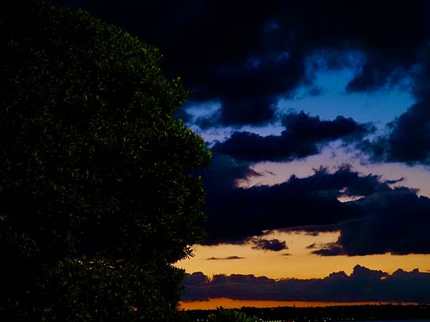 An orange, yellow, purple and blue Sunset behind Cumulonimbus Clouds, which are storm clouds over Auckland Harbor from Bastion Point at the Waterfront.  There is the silhouette of a Pohutukawa Tree to the left and at the bottom in the distance you can see some city lights.