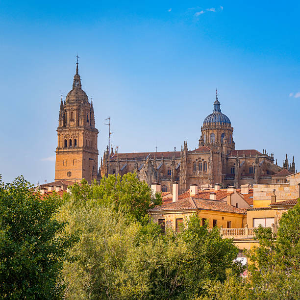 Salamanca Cathedral
