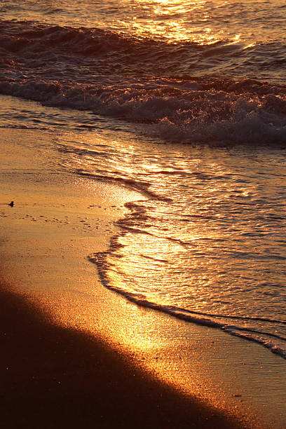 istock A Golden Sunset Dancing On The Waves 2231912187
