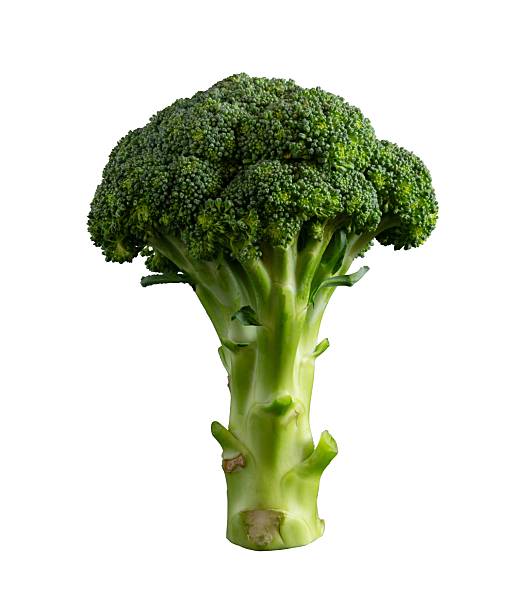 istock fresh vegetables of broccoli isolated 2231918534