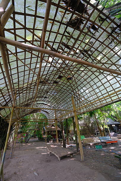 istock structure with curved, bamboo framed roof, covered with plastic. 2231918756