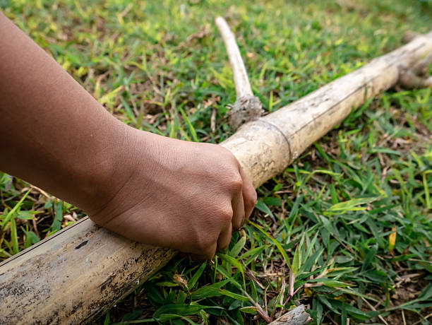 istock Hand gripping a bamboo stick in a grassy outdoor 2231918880