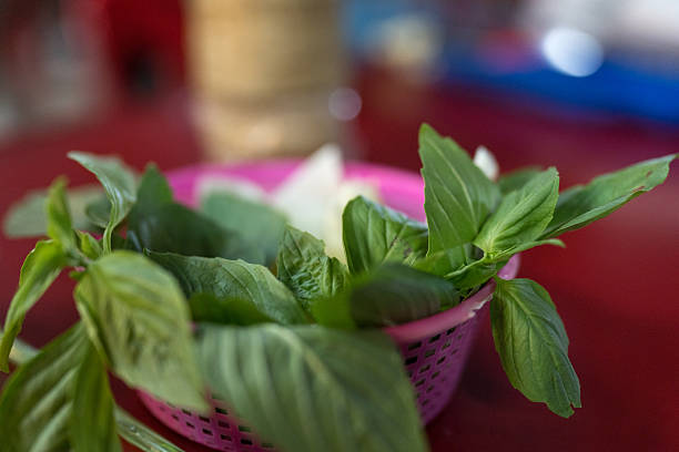 Raw basil leaves in a basket ready for a customer eating with Thai food at Thai restaurant
