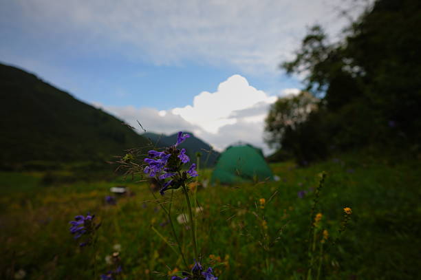 Camping in Niba Village. Located in Zhuoni County, Gannan Tibetan Autonomous Prefecture, Gansu Province, this Tibetan village is renowned for its unique natural scenery and profound Tibetan culture. Hidden amidst towering mountains, the village is known as \