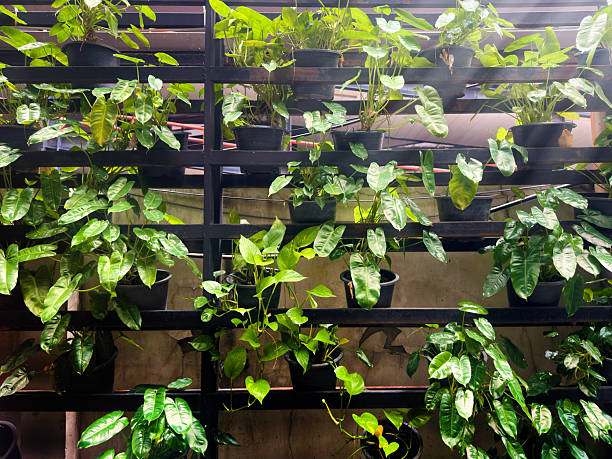 Close up flower pots on building wall in Bangkok, Thailand