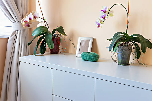 istock Elegant interior with potted orchids and decorative elements on modern white cabinet 2231938964