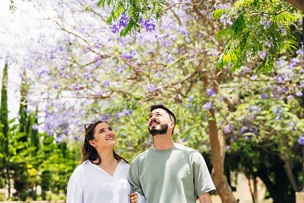 istock Tourist couple enjoying Jacaranda trees in full bloom 2231941113