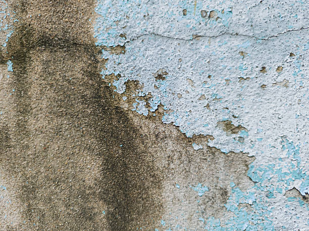 Close-up light blue painted wall with large, peeling sections revealing gray, rough concrete underneath. Old paint is flaking and cracked around the edges of the exposed areas