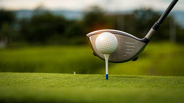 istock Golf ball on green grass in the evening golf course with sunshine background. 2231950758