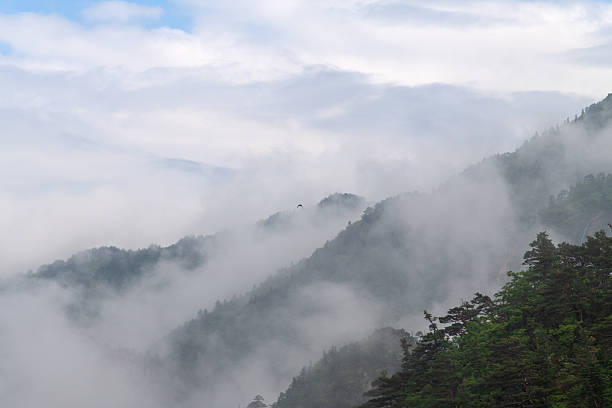 idyllic landscape