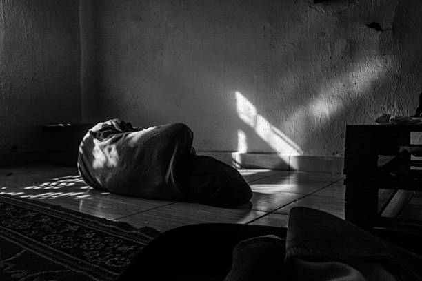istock Resting in a Ray of Light 2231953689