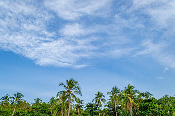 KOH KOOD island thailand