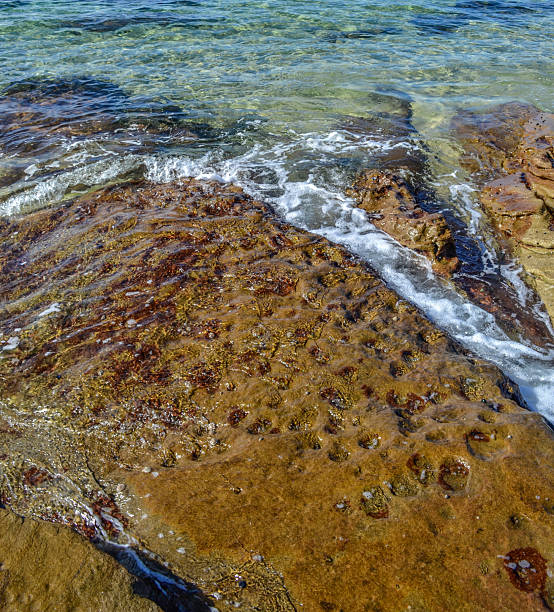 istock Little Bay Sydney Australia 2231967405