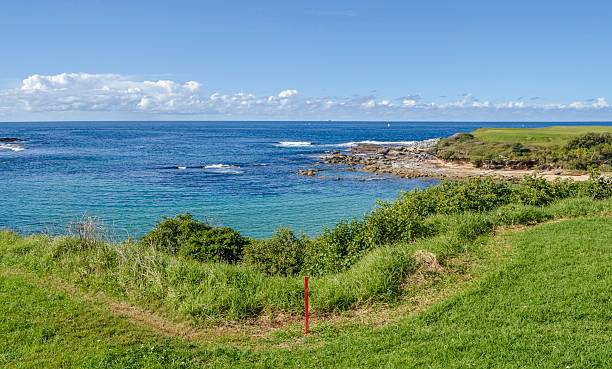 istock Little Bay Sydney Australia 2231967557