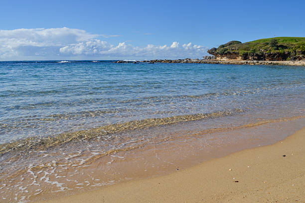 Little Bay Sydney Australia