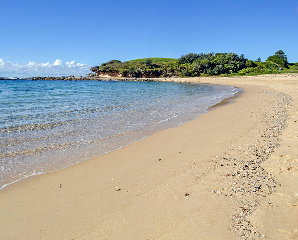 istock Little Bay Sydney Australia 2231968067
