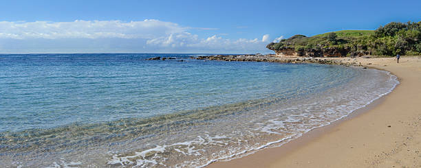istock Little Bay Sydney Australia 2231968068