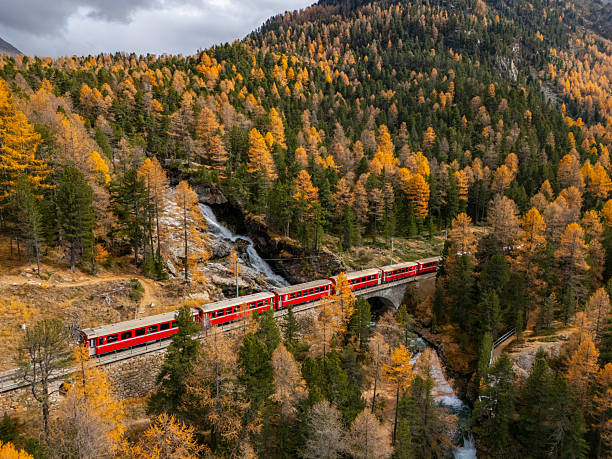 istock Red Train Traveling Through Autumn Mountain Forest 2231968328