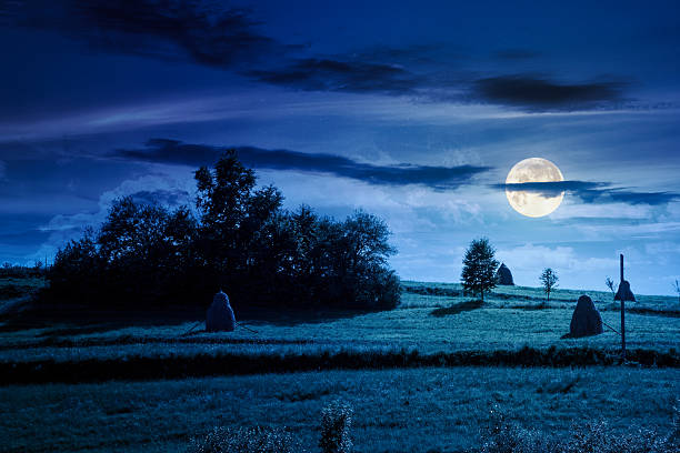 istock countryside landscape in summer at night 2231968329