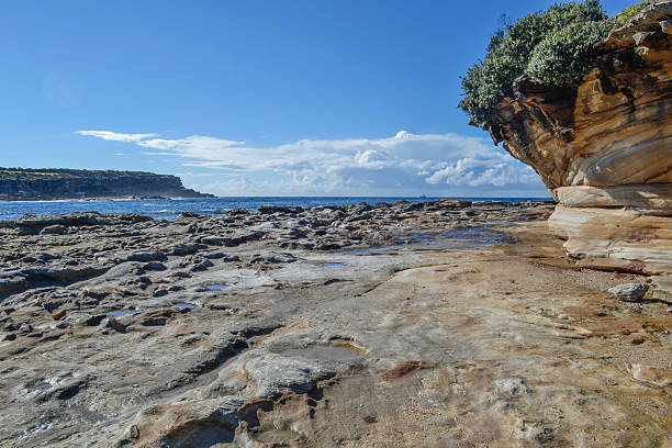 Little Bay Sydney Australia