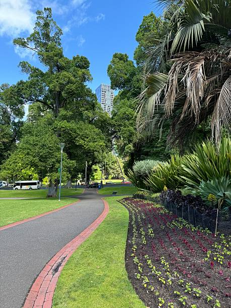 istock Flowers and botanical garden in Melbourne 2231971362