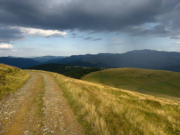 Winding dirt road through green highlands in the Carpathian Mountains, perfect for hiking, off-road travel, and outdoor adventure. Scenic mountain landscape under dramatic skies.